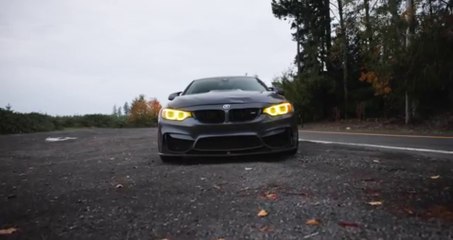 Hanumankind - Big Dawgs (feat Kalmi (MD Dj Remix) & Car Music Video