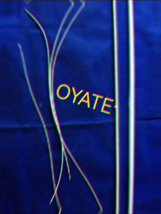 1500w five star filament infrared heat lamp bulb 1500w flash curing infrared heating tube 1500w flash curing infrared heating tube 870mm 2000w infrared lamps for drying 1500w for screen printing machines