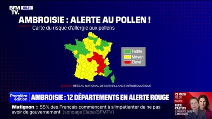 Allergie au pollen d'ambroisie: 12 départements en alerte rouge