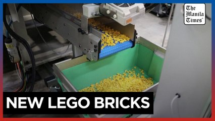 Lego to replace oil in its bricks with pricier renewable plastic