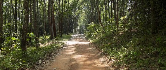 Vazhakku 2022 Malayalam HQ HDRip  ESub  Movie