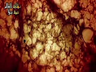 نهاية العالم وأحداث يوم القيامة _  The day of judgement(240P)