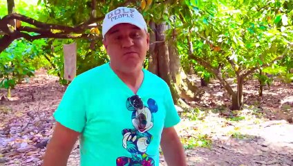 Nastya shows her usual school day(Настя показывает свой обычный школьный день