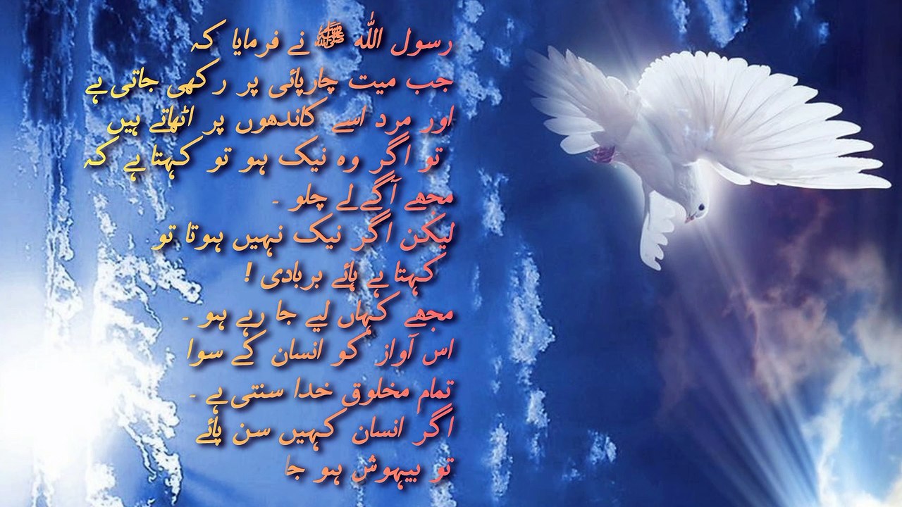 Entertainment of Islam