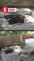 Body believed to be infant girl found buried in cement