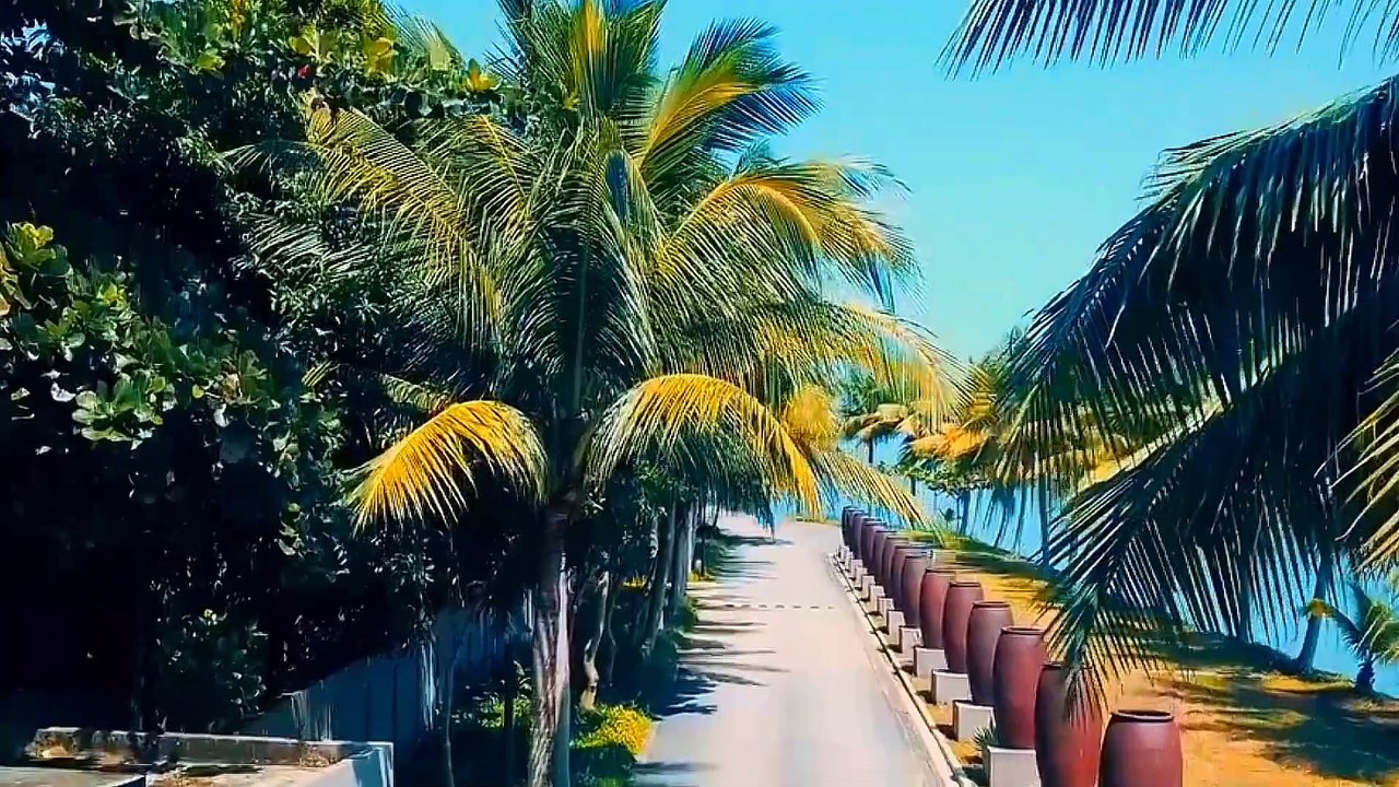 Âm nhạc thư giãn trị liệu với cảnh đẹp nhân gian - Cảnh đẹp điền viên chữa lành mọi cảm xúc