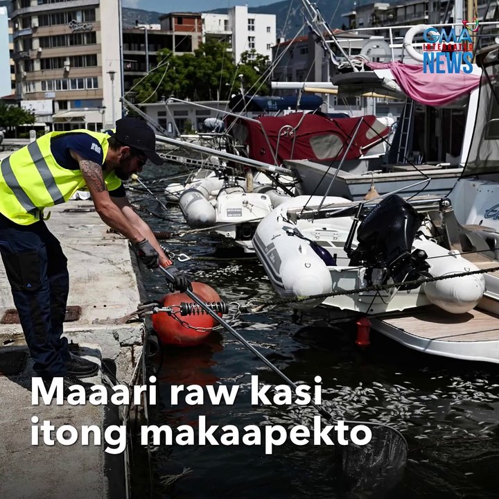 Malaking perwisyo! Tone-toneladang patay na isda, naglutangan sa pantalan | GMA Integrated Newsfeed