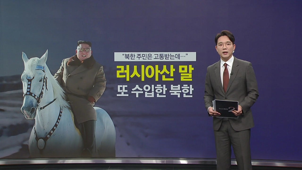 "북한 주민은 고통받는데..." 러시아산 말 또 수입한 북한 [앵커리포트] / YTN