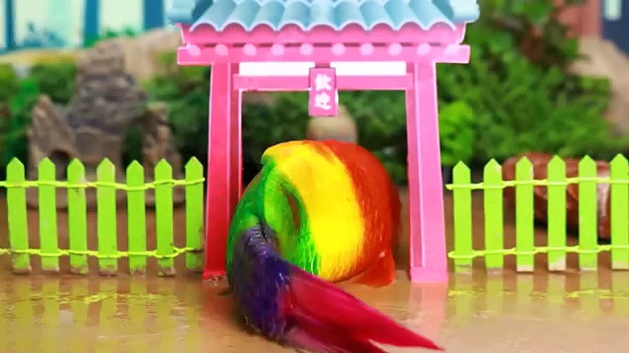 Stop Motion ASMR - Kungfu Fish and battle of Koifish carp and Catfish Eels