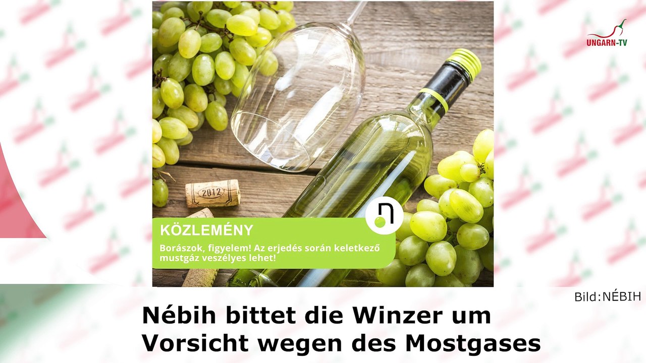 Kurznachrichten aus Ungarn am 29.08.2024 // Handyverbot an Schulen!