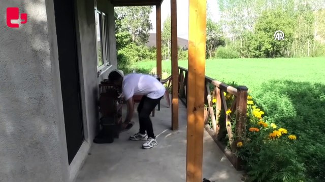 Erzincan’da ayakkabı hırsızını güvenlik kamerası ortaya çıkardı: Tilki iş başında