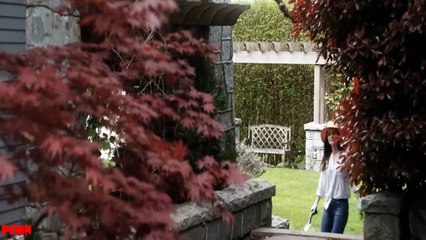 Chết đi rồi lại sống lại rồi lại xóa hình săm để săm hình mới - Review phim hay - PHIM CHO MỌI NHÀ