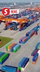 China's economic recovery well on track, logistics sector grows by 5.5%