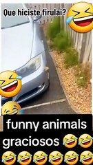 Smart Fun & Entertainment 🎉