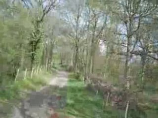 galop foret d'angervilliers