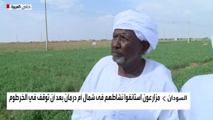 أم درمان تصبح وجهة المزارعين الهاربين من جحيم الخرطوم..كيف واجهوا نقص التقاوي؟