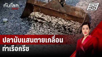 ปลานับแสนตายเกลื่อนท่าเรือกรีซ | ทันโลก DAILY | 29 ส.ค. 67