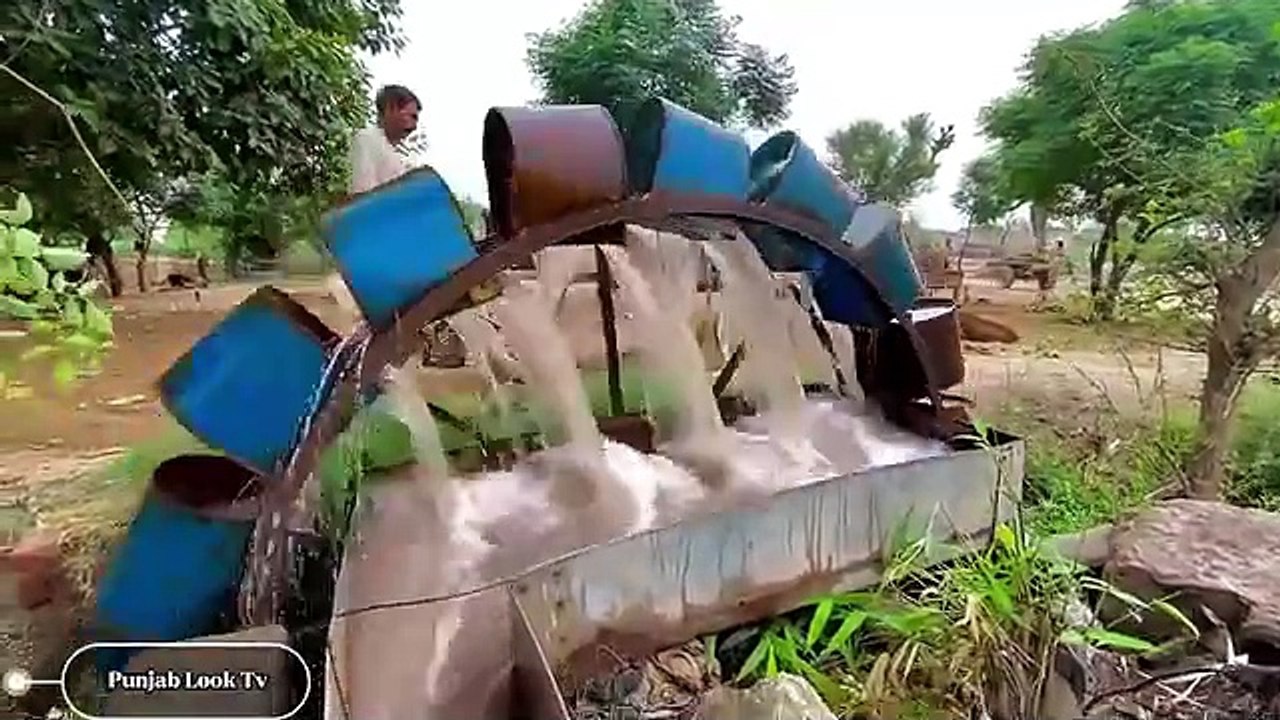 الري التقليدي لرفع المياه بالثيران  2