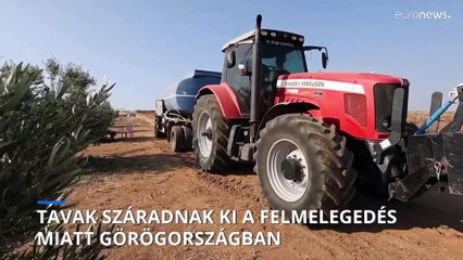 Vízválság Görögországban: Tavak kiszáradnak a hőhullámok miatt 🌊