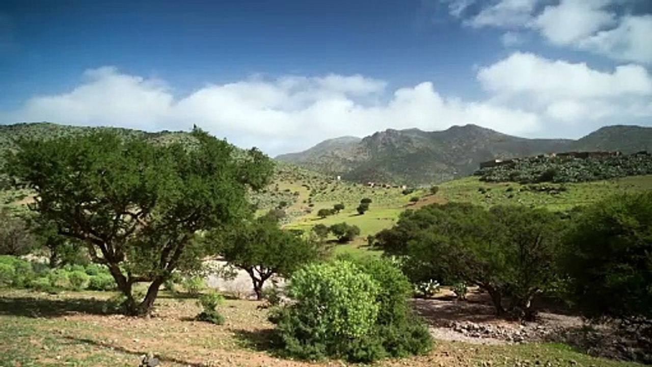 Green seen