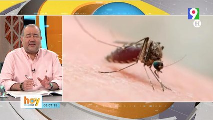 ¡Alerta! Detectan “Oropuche” Salud Pública  | Hoy Mismo