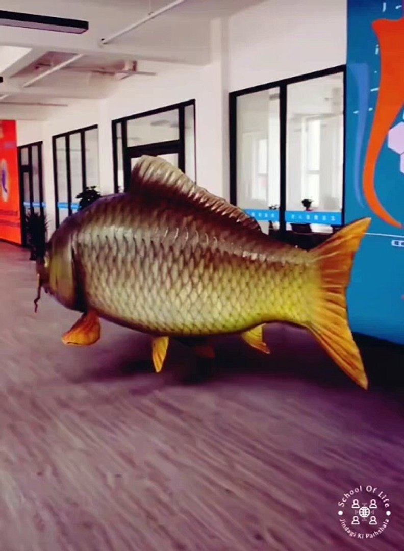 ⁣Big Aquarium