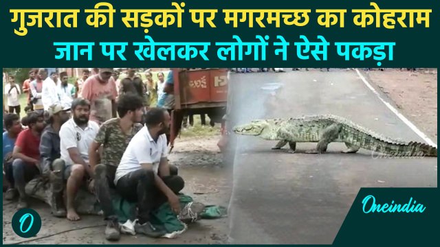 Gujarat Flood: गुजरात में बारिश का कहर, सड़क पर Crocodile, लोगों ने ऐसे बचाई जान | वनइंडिया हिंदी