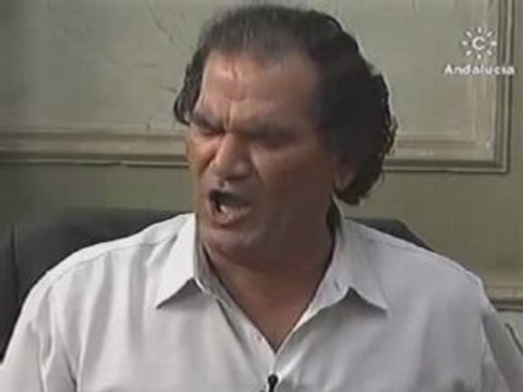 José Vargas El Mono , bulería por soleá