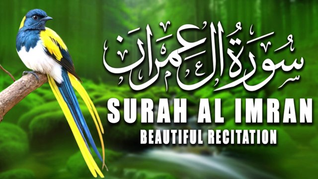 Surah Al Imran سورۃ آل عمرن | Most Beautiful and Heart Touching Quran Recitation | Quran |Tilawat Quran