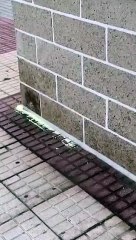 Azufre en esquinas de calless de Candelaria / AYUNTAMIENTO DE CANDELARIA