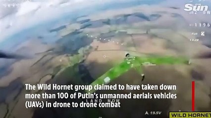 Amazing Footage of Ukraine's Wild Hornet Squad Destroying Spy Drones 🚀