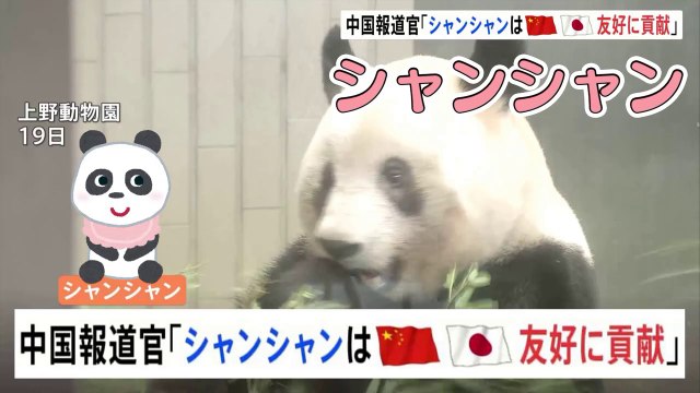 シャンシャンまもなき中国へ Xiang Xiang il panda più amato del Giappone torna in Cina Giant Panda return to China