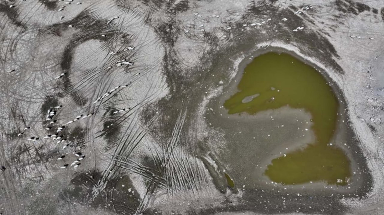 Erciyes Dağı’nın simgesi Tekir Göleti yok oluyor