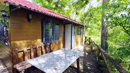 Nhà nghỉ dưỡng ẩn trong rừng cây ngoại ô Vũng Tàu