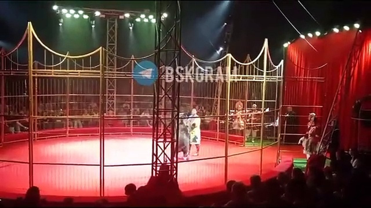 Un ours de cirque russe attaque son dresseur sous les yeux horrifiés du public !
