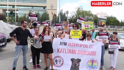 Yaşam hakkı savunucuları sokak hayvanları düzenlemesinin iptalini talep etti