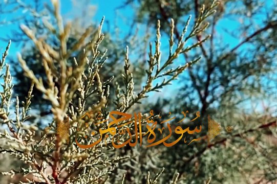 Surah Al Rehman Dawat Islami Qari