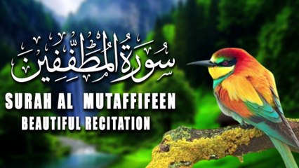 Beautiful Recitation Of Surat Al-Mutaffifin (The Cheats)   | سورة المطففين |Tilawat E Quran |Al Quran