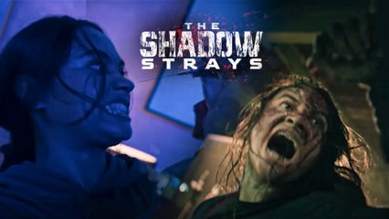 Netflix Drops Adrenaline-Pumping First Look Of Timo Tjahjanto's 'The Shadow Strays' | WATCH TEASER