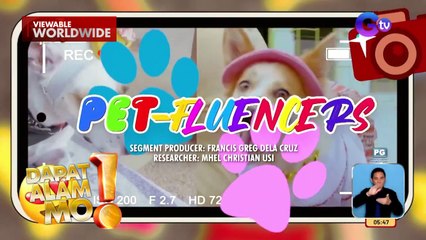 Mga alagang aspin, certified pet influencers! | Dapat Alam Mo!