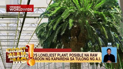 World’s loneliest plant, posible na raw magkaroon ng kapares sa tulong ng A.I?! | Dapat Alam Mo!