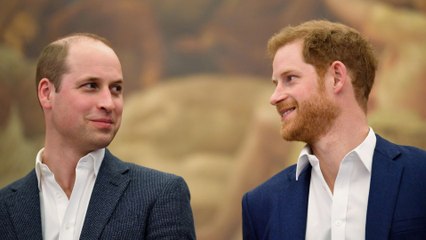 Will Princes William and Harry meet up in NYC? Experts reveal why it won't happen