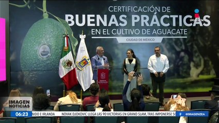 Alfredo Ramírez Bedolla asegura que no habrá impunidad en la deforestación y en el combate al huachicoleo