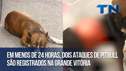 Em menos de 24 horas, dois ataques de pitbull são registrados na Grande Vitória