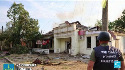 Ukraine FM seeks EU help in lifting arms curbs