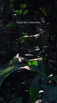 I realised that __._._.__ #explorepage #explore #aesthetic _#ａｅｓｔｈｅｔｉｃ #edits #sad #love #songs #sky #sunrise #day #trendingreels #trending #instagood