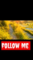 Beautiful place in the world nice look green green grass stonesnaturalbeauty933#beauty#night#hotvideo#foryou#trendingvideo#trendvideo#dailymotionnight#greengrrengrass#nicelook#beautiful#beauty#good#