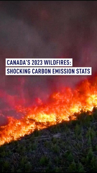 Canada’s 2023 wildfires: Shocking carbon emission stats