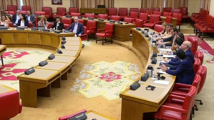 Puente reconoce que Renfe tiene un 20% de sus trenes parados por avería o mantenimiento