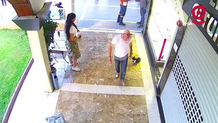 Adana'nın asabi kedisi 'Kızım' psikopat çıktı